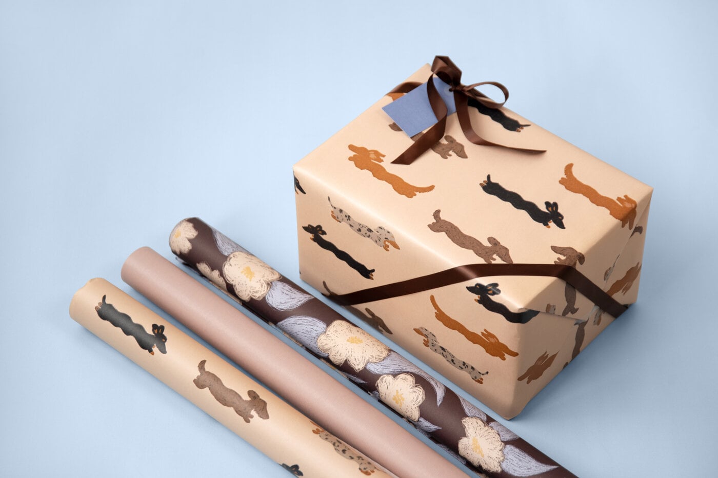 Wrapped gift with rolls of wrapping paper.