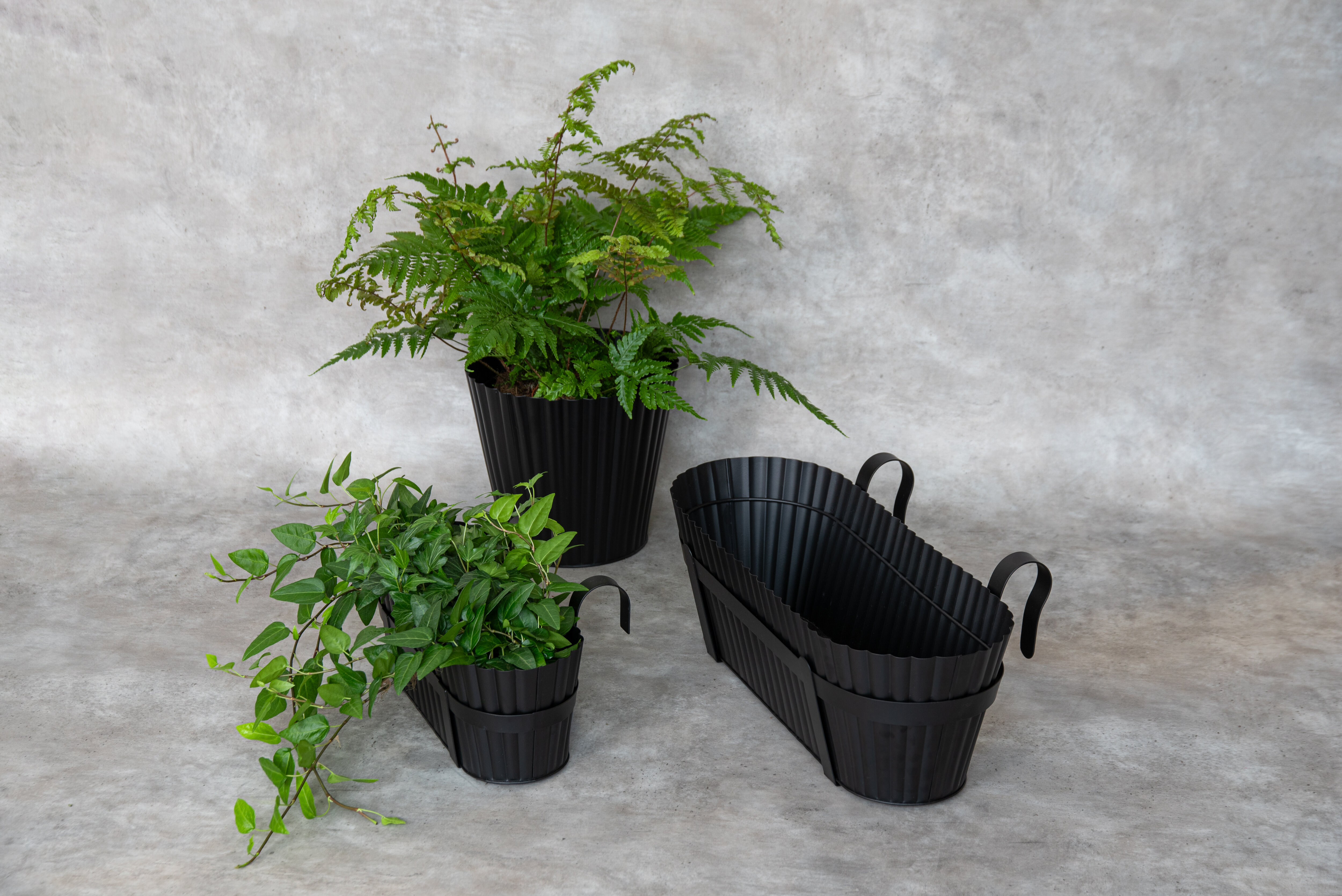 Black pots with green plants.