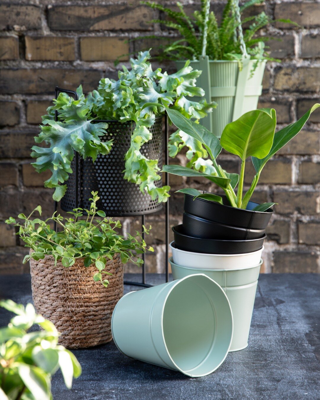 Pot Zink green